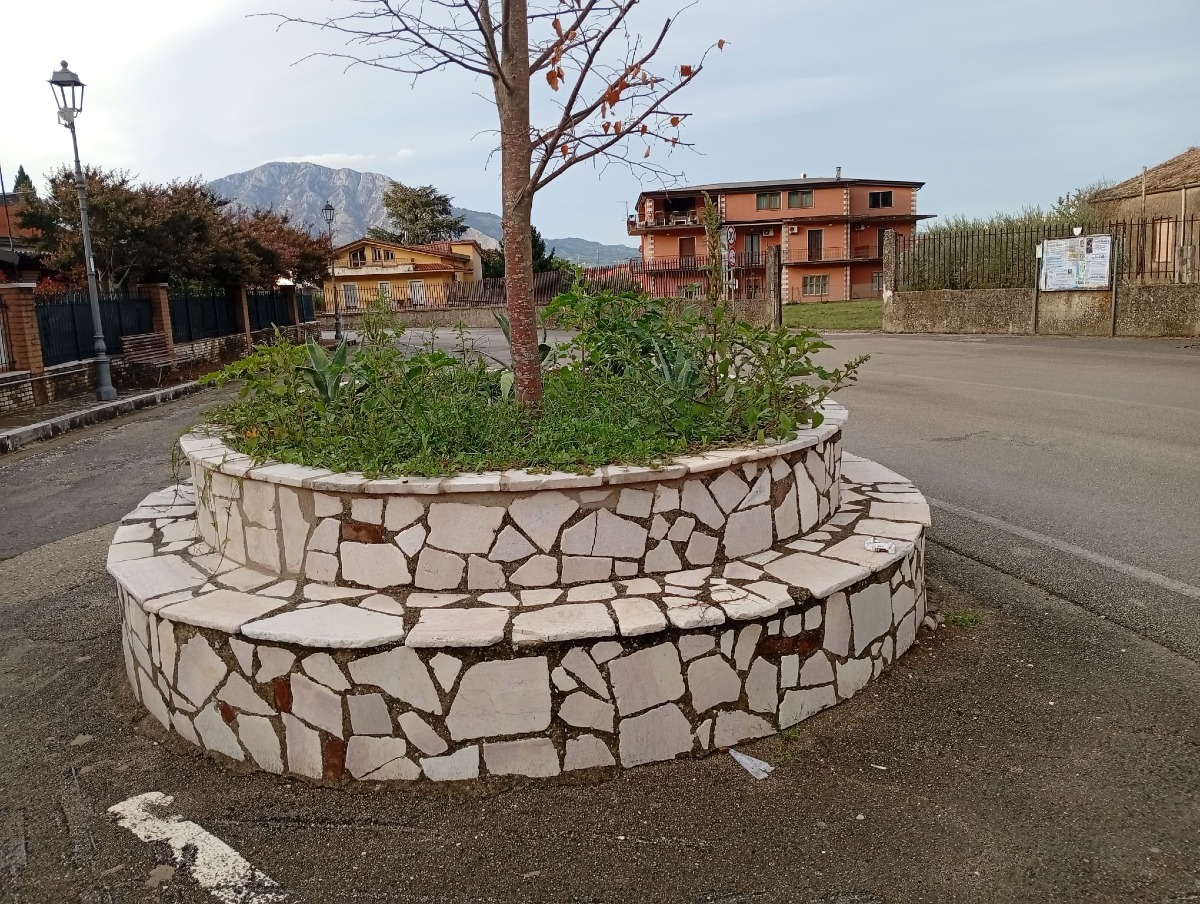 Tiglio di San Potito 08 Ottobre 2026